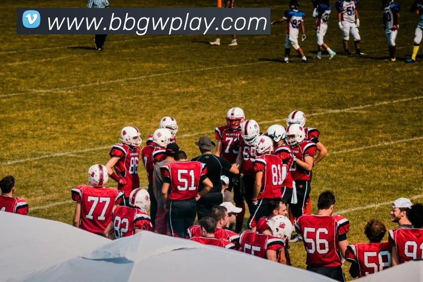 BB体育APP 封面图